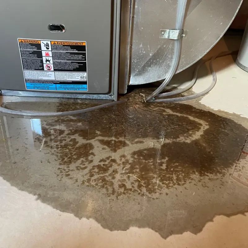 Appliance Leak Cleanup in Newton, NC